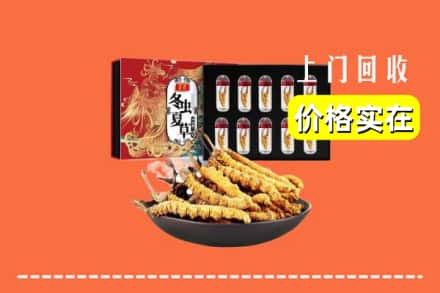 韶关新丰县回收冬虫夏草
